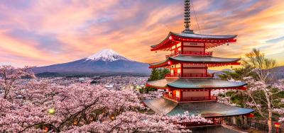 How we successfully conquered Japan’s premium packaging market Image